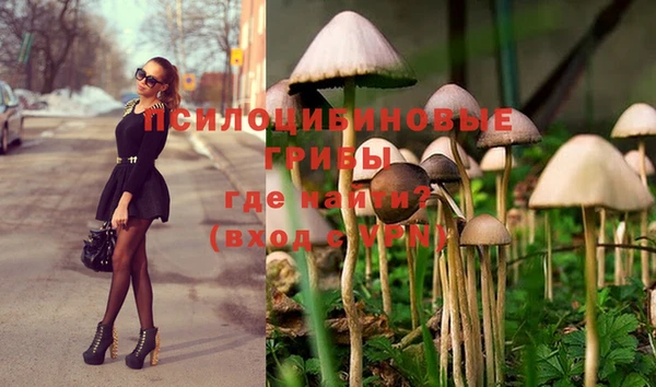 первитин Белоозёрский