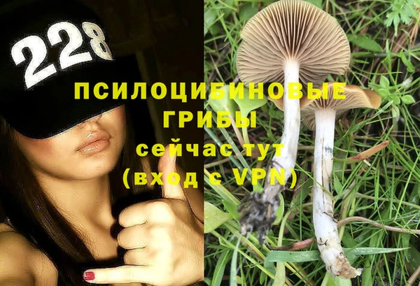 мдпв Белокуриха