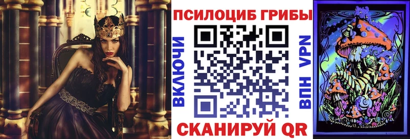 Галлюциногенные грибы MAGIC MUSHROOMS  где купить наркотик  Никольск 