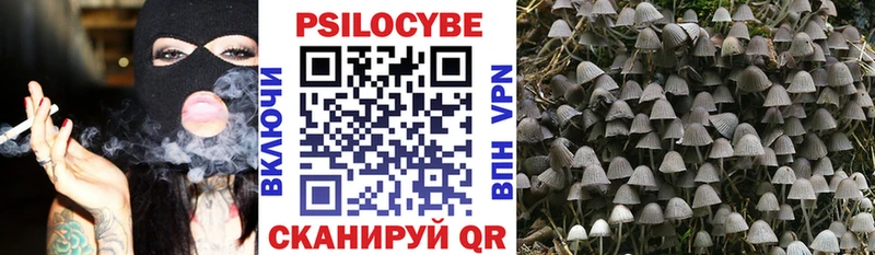 Галлюциногенные грибы мицелий Никольск
